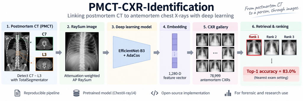 Deep learning workflow for forensic personal identification by matching postmortem CT-derived RaySum images with antemortem chest X-rays
